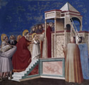 La nativité de Giotto